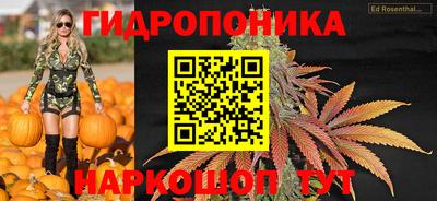 крисы Белорецк
