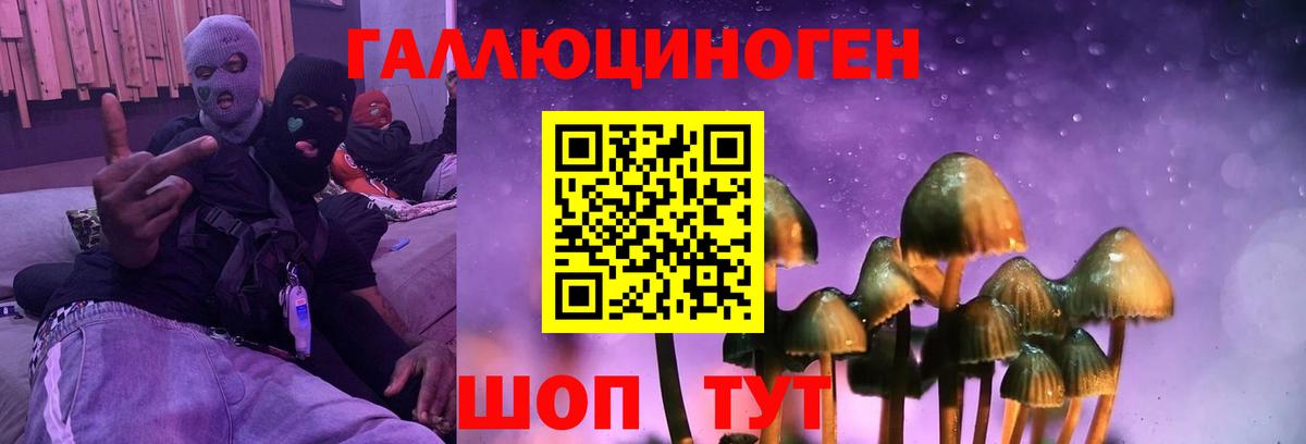 Анжеро-Судженск  Галлюциногенные грибы ЛСД  Вход с VPN 
