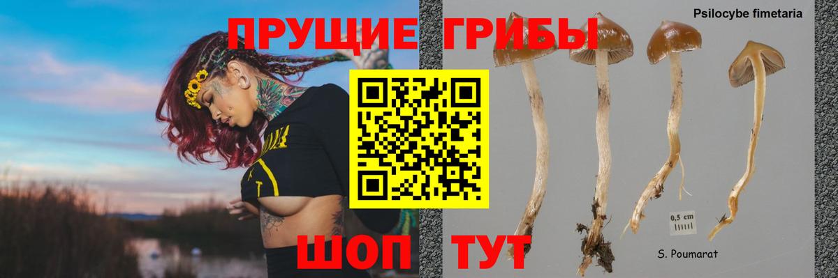 Псилоцибиновые грибы MAGIC MUSHROOMS Анжеро-Судженск